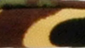 Safe Cat Round Fashion Collar