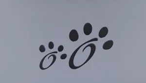 Maslow Design Series Non-Skid Dry Ears Dog Bowl