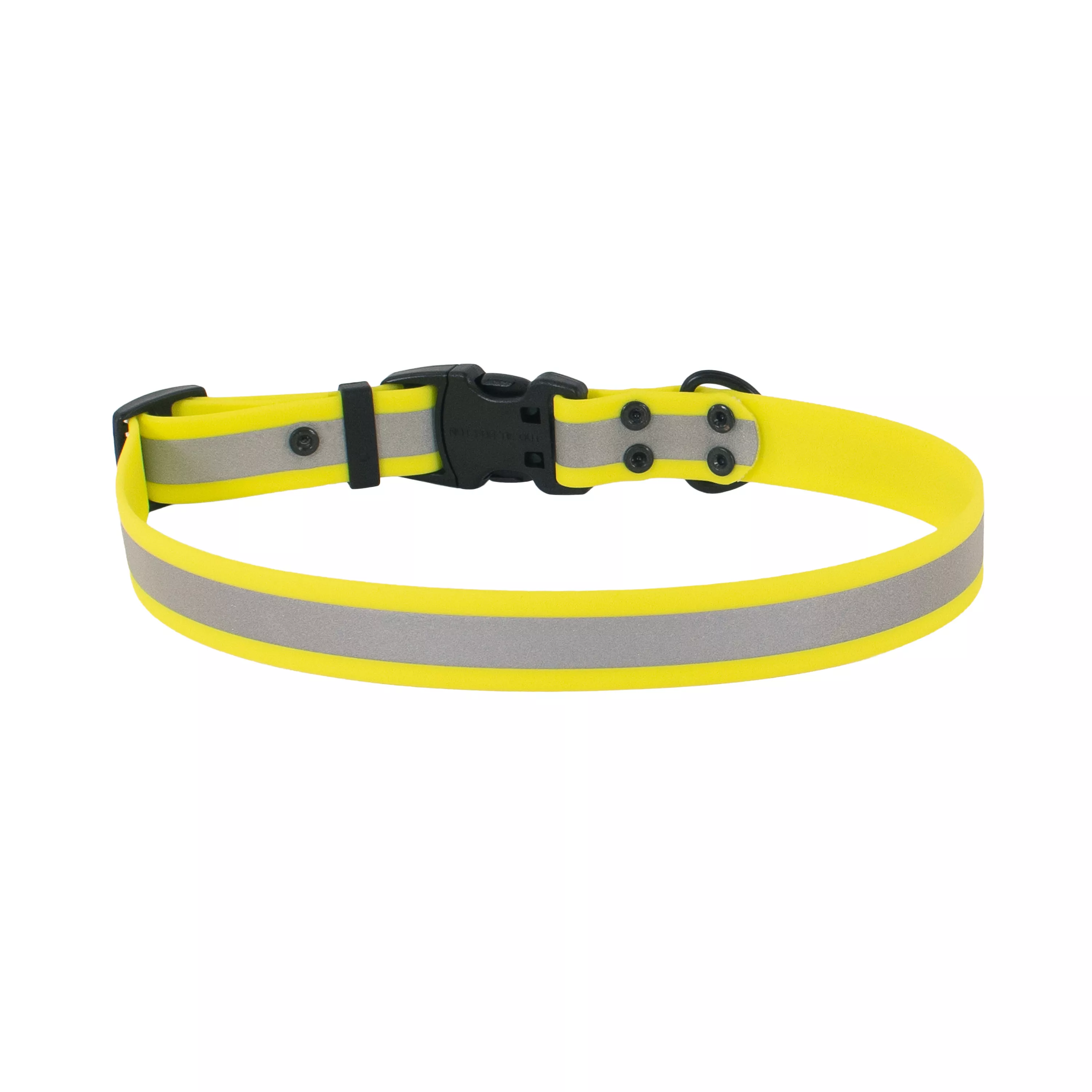 Yellow BioThane waterproof dog collar displayed flat with a black plastic buckle and black metal rivets.