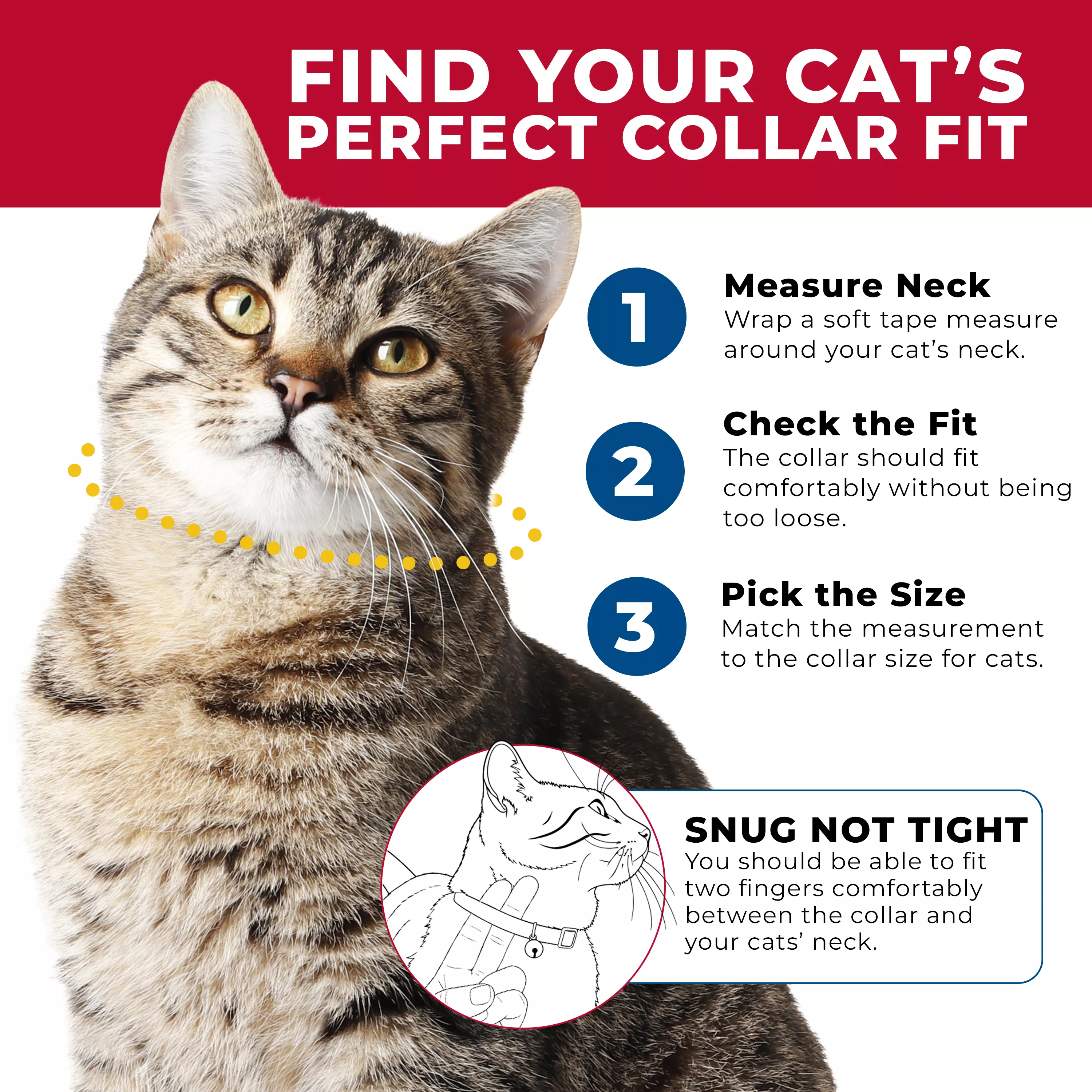 Cat collar fitting guide showing three steps: 1) Measure the cat's neck with a soft tape measure. 2) Check that the collar fits comfortably without being too loose. 3) Choose the collar size that matches the measurement. Illustration indicates a proper fit allows two fingers to fit between the collar and the cat's neck.