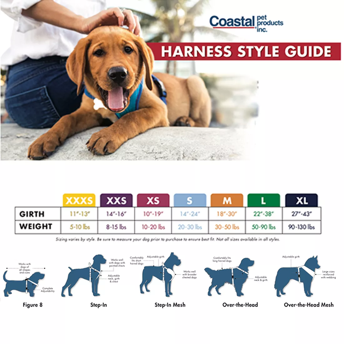 A square graphic titled “HARNESS STYLE GUIDE” shows a dog lying on a light-colored surface while wearing a bright blue harness. A person positioned behind the dog holds the harness with one hand. The dog is light brown with short fur and is shown from the front, with its head turned slightly to the left. The background behind the dog includes an upholstered cushion and part of a person’s torso and legs wearing a white top and dark blue jeans.
Across the top of the graphic, the Coastal Pet Products logo appears in blue and gray text, placed on a white background above the title banner. Below the logo, the words “HARNESS STYLE GUIDE” appear in bold red uppercase letters inside a horizontal white band.
Centered beneath the photo is a size chart arranged in a horizontal bar with seven labeled size categories, each in its own colored box. From left to right, the sizes are:

XXXS in a yellow box
XXS in a magenta box
XS in a pink box
S in an orange box
M in a green box
L in a blue box
XL in a purple box

Directly under each size label is a pair of measurements: GIRTH ranges and WEIGHT ranges. From left to right, the chart reads:

XXXS: 9–12 in., 3–5 lb
XXS: 12–16 in., 5–10 lb
XS: 16–18 in., 10–15 lb
S: 18–22 in., 15–25 lb
M: 22–28 in., 25–50 lb
L: 28–36 in., 50–75 lb
XL: 36–44 in., 75–100+ lb

Below the chart, a line of text reads:
“Every style of walk is unique. Learn which harness style best matches your dog’s comfort needs with the graphic below.”
Along the bottom of the graphic are five blue silhouette illustrations representing different harness styles. Each silhouette shows a dog standing in profile with a different outline indicating strap placement. Under each silhouette is a style label:

Figure 8
Step-In
Dog Fashion
Wrap Step-In Back Pull
Wrap Step-In Back Pull Padded

Each silhouette includes a simple harness outline:

The Figure 8 shows two loops crossing at the dog’s back.
The Step-In shows two leg openings with straps meeting at the back and chest.
The Dog Fashion silhouette shows a chest band and a back band connected by vertical straps.
The Wrap Step-In Back Pull shows wrap-around wings beneath the dog and a back connector.
The Wrap Step-In Back Pull Padded silhouette features a similar wrap structure with thicker, padded strap shapes.

The overall layout is clean and structured, with the photo occupying the top half and the chart and harness silhouettes in the lower half of the graphic on a white background.