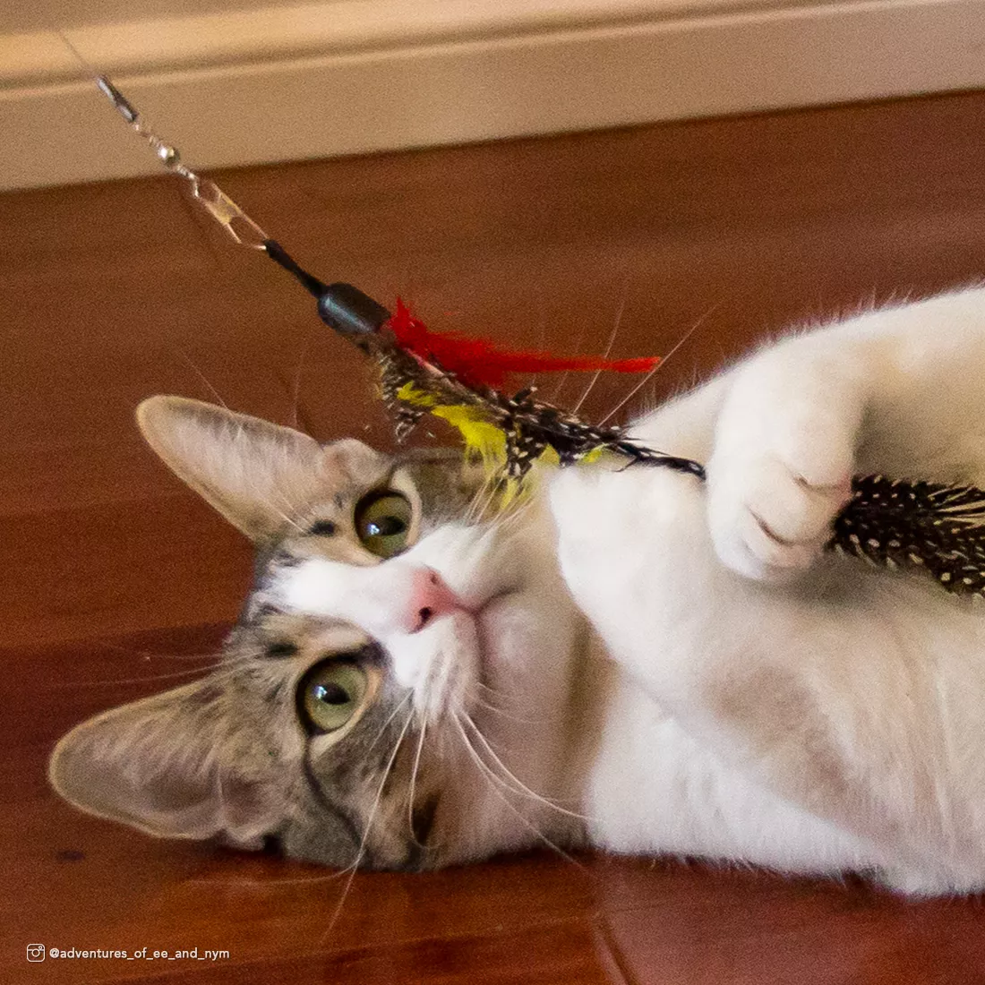 202229 _lifestyle.jpg