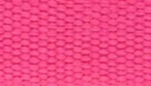 New Earth Soy Dog Leash - Personalized