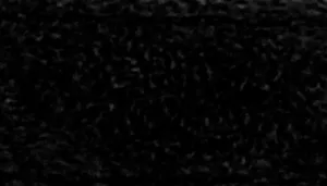 Accent Microfiber Dog Collar