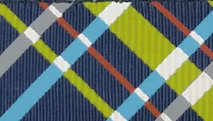 Ribbon Adjustable Dog Collar with Metal Buckle