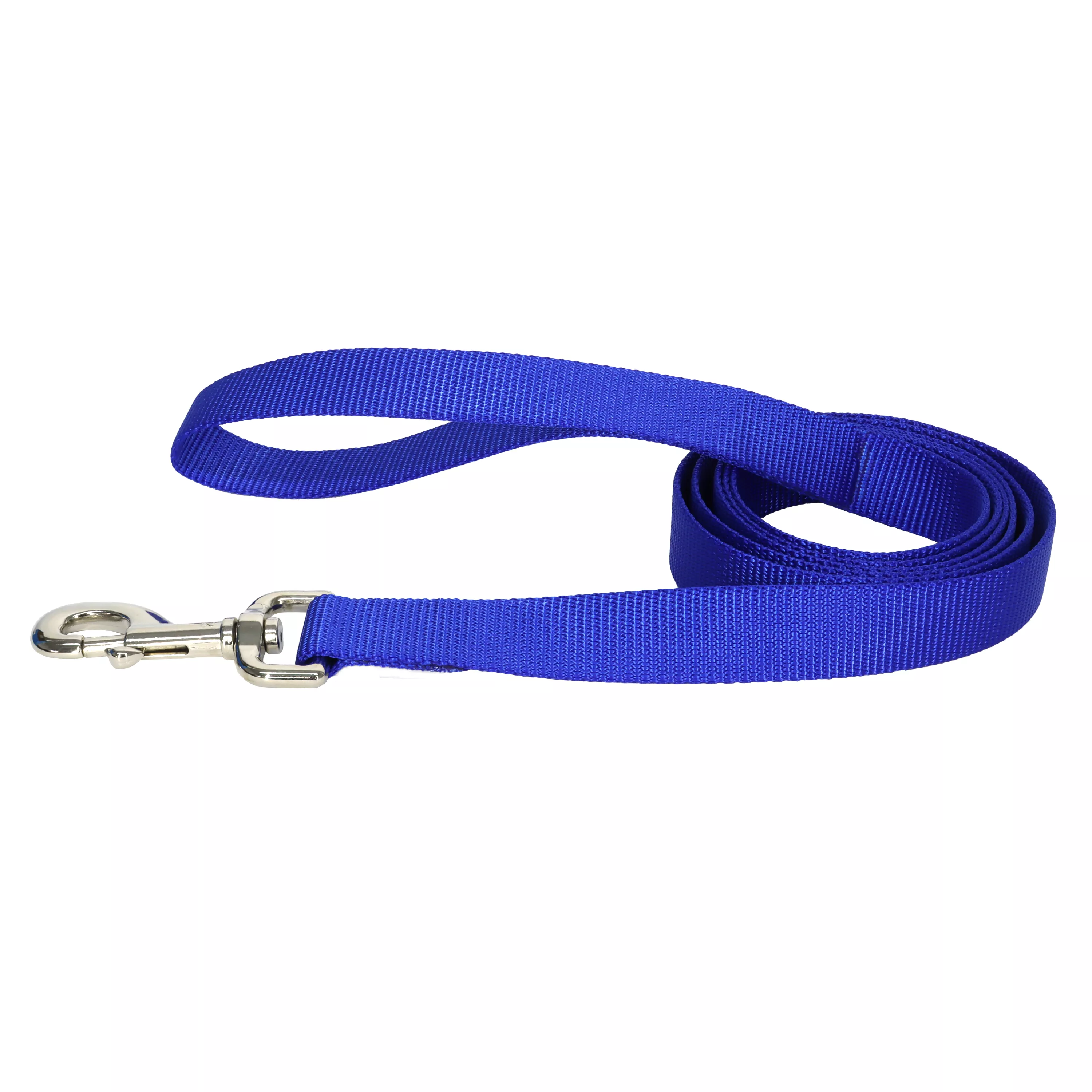 A product‑only image of a blue single‑ply dog leash displayed against a white background. The leash is made of bright blue woven nylon with a ribbed surface. It includes a looped handle at one end and a silver‑tone metal swivel bolt‑snap clasp at the opposite end. The leash is arranged in loose curves to show its flexibility.