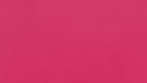 Power Walker Dog Retractable Leash