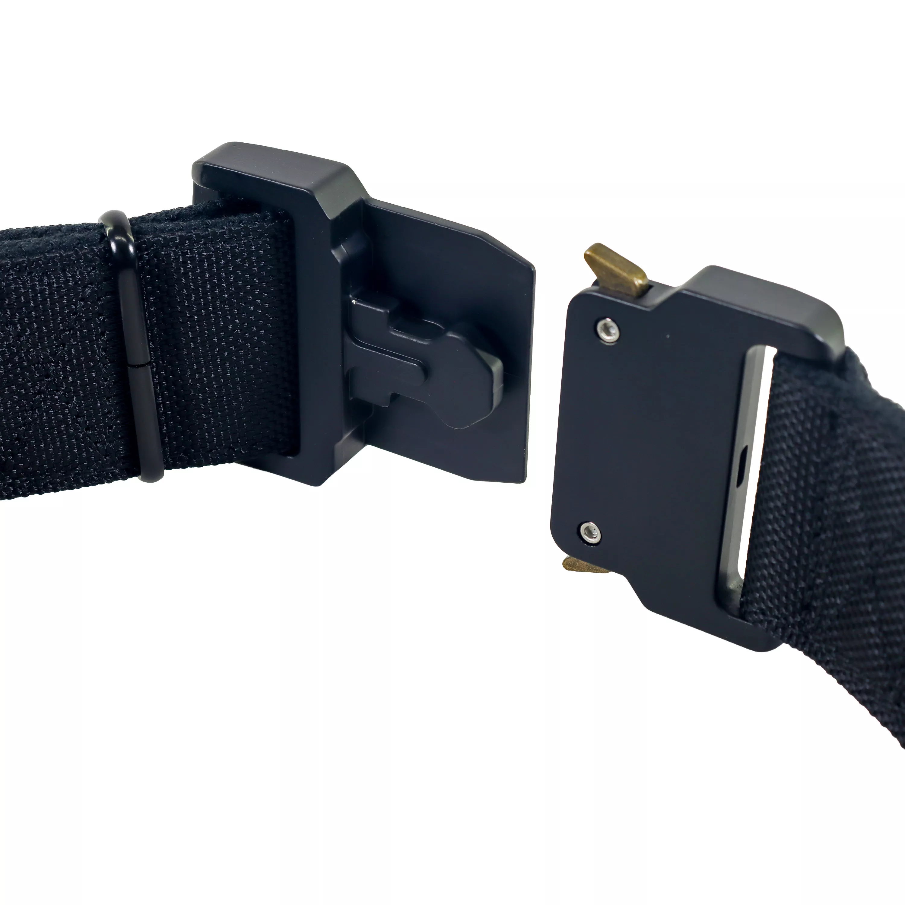 Close‑up angled view of a black dog collar showing the buckle and strap connection.