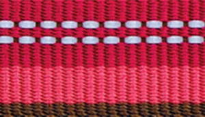 K9 Explorer Reflective Adjustable Dog Collar