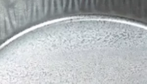 Bergan Galvanized Pan