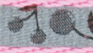 Lazer Brite Reflective Adjustable Breakaway Cat Collar