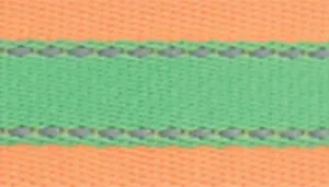 Pro Reflective Adjustable Dog Collar - Personalized