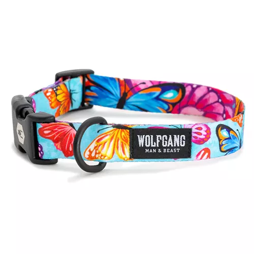 Wolfgang FlutterColor Dog Collar Product image