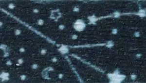 Safe Cat Fashion Adjustable Breakaway Collar