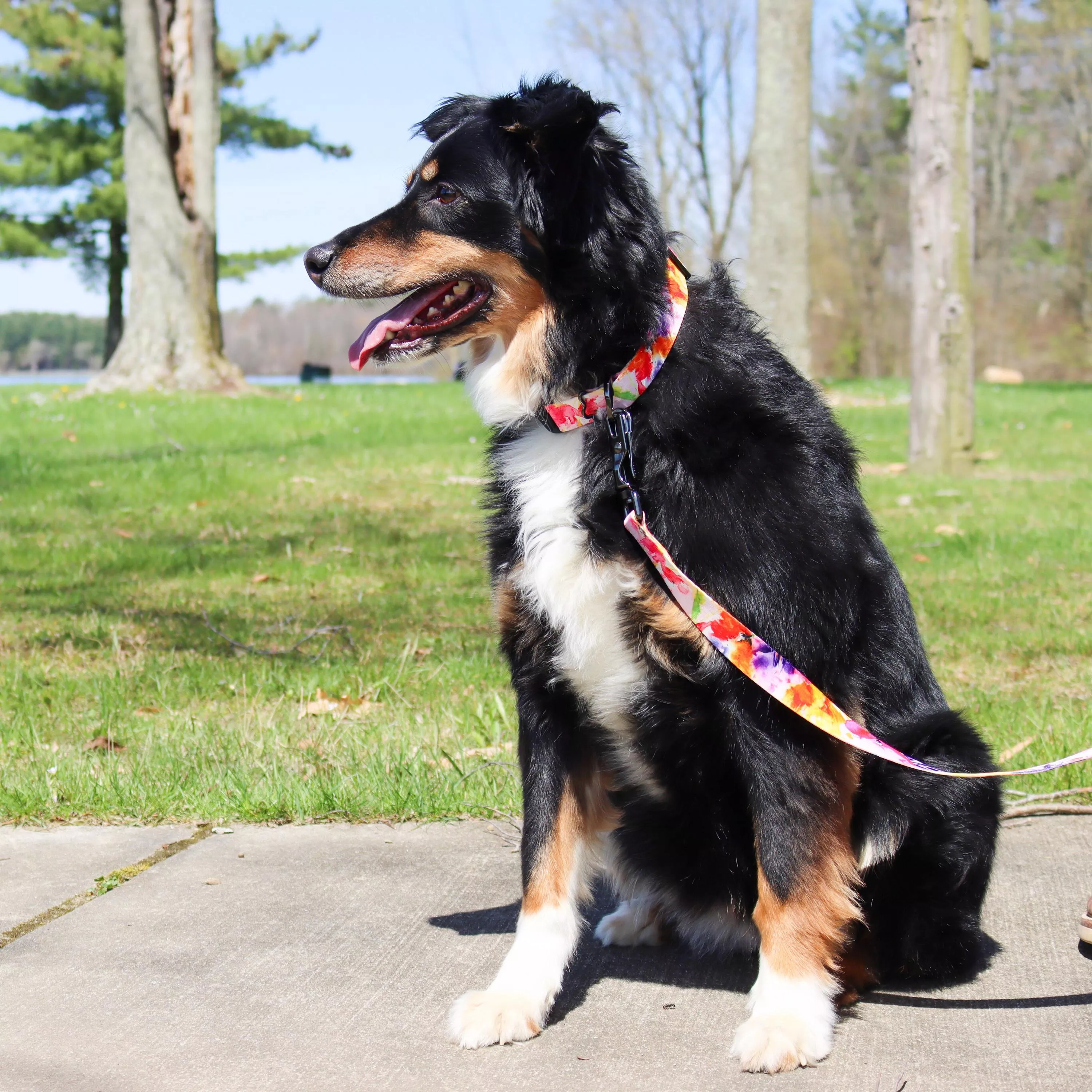 15953 SHB20_15456 SHB06_18.jpg