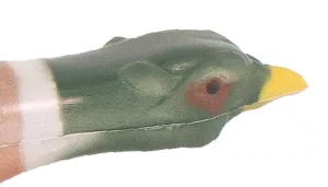 Green pheasant head with yellow bill and darker crown on white background.