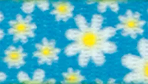 Safe Cat Fashion Adjustable Breakaway Collar