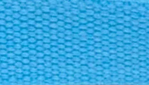 New Earth Soy Dog Leash - Personalized