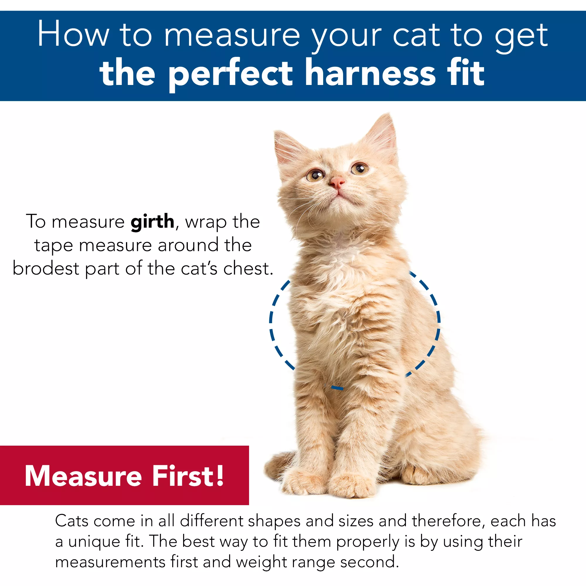cat_harness_sizing.jpg