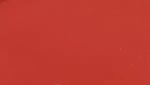 Power Walker Dog Retractable Leash