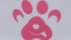 Maslow Design Series Non-Skid Paw Design Dog Bowls