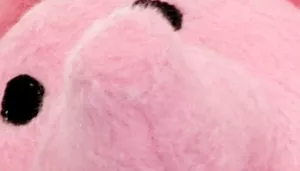 Li'l Pals Plush Crinkle Dog Toy