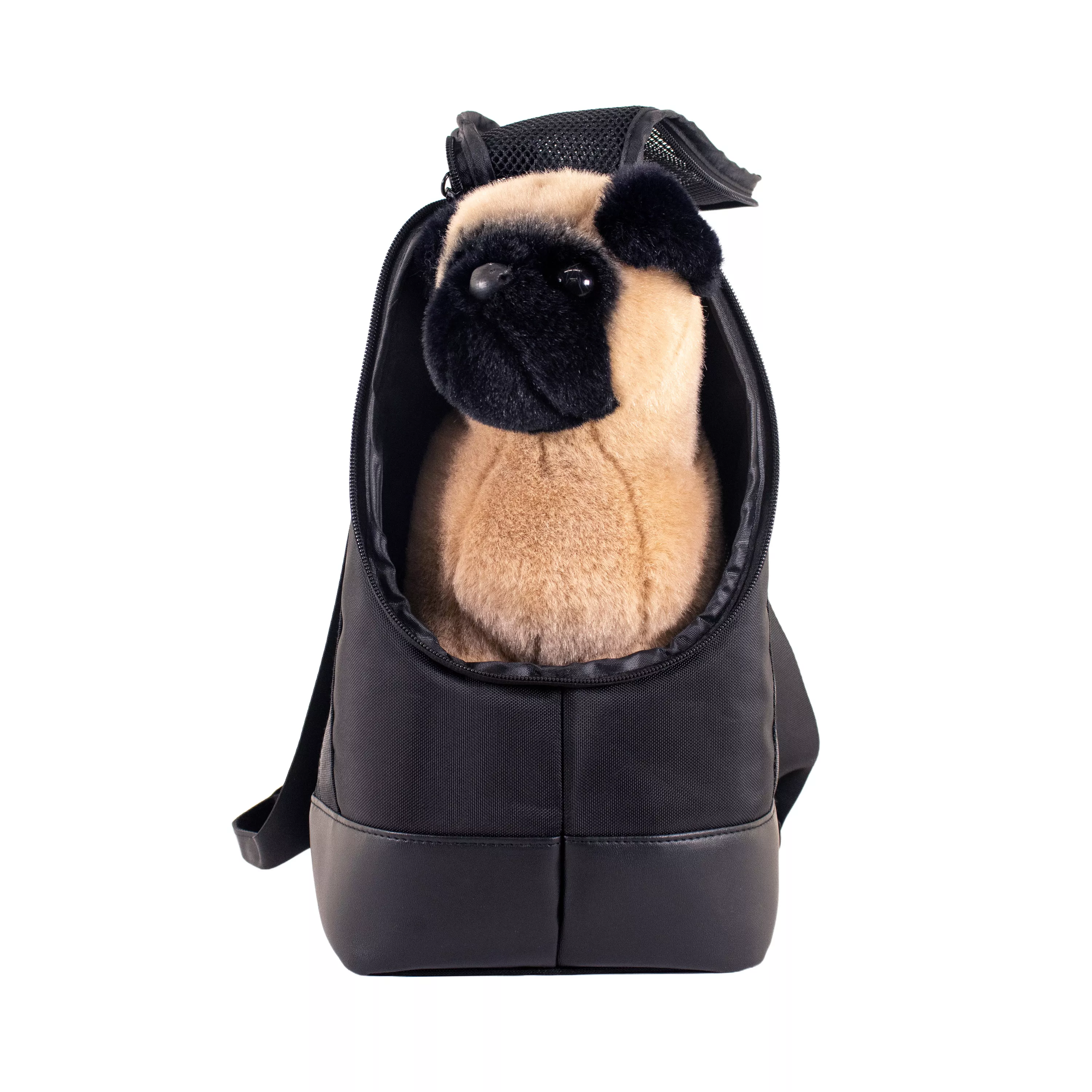 Front view of the tote carrier with a small dog sitting inside and looking forward through the open top.