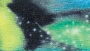 Safe Cat Heartbreaker Adjustable Cat Collar with Breakaway Heart Buckle