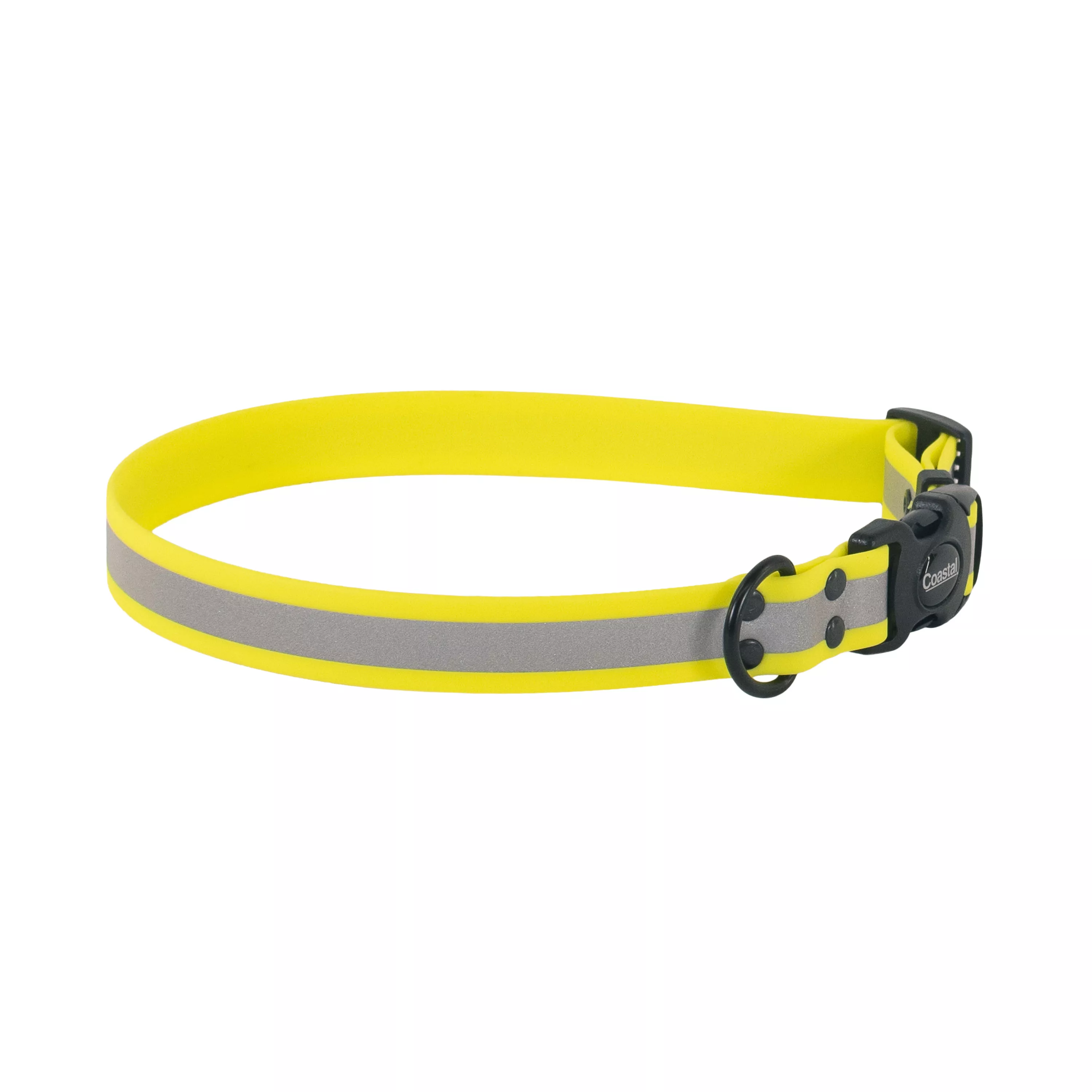 Yellow BioThane waterproof dog collar shown in a looped shape with a black plastic buckle and black metal rivets.