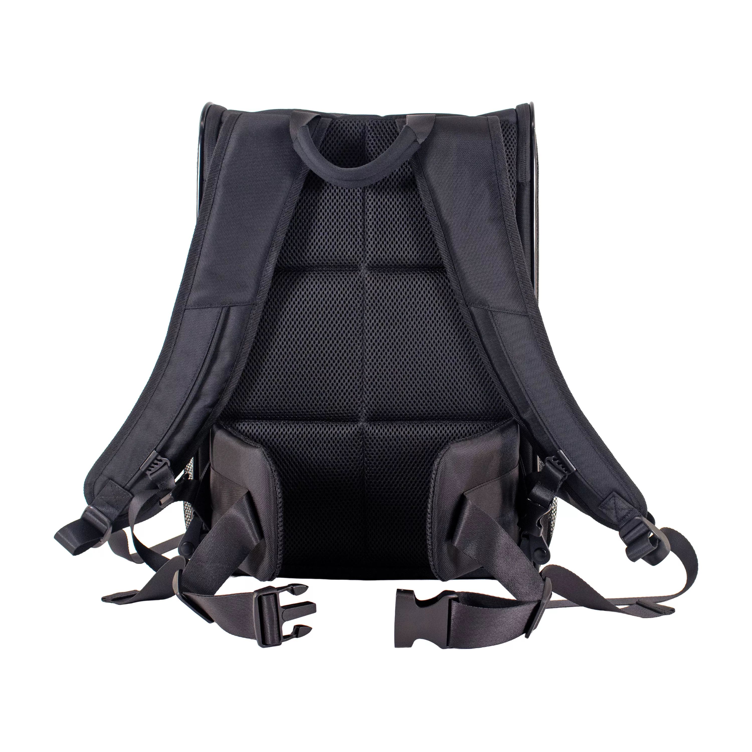 Rear view of the pet carrier showing the padded backpack straps, back ventilation panel, and sternum buckle.