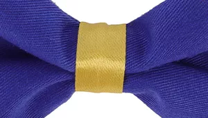 Accent Metallic Dog Collar Embellishment