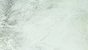 Turbo Random Fun Cat Toys