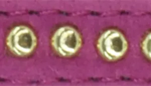 Li'l Pals by Coastal Posh B'Dazzled Velvet Dog Collar