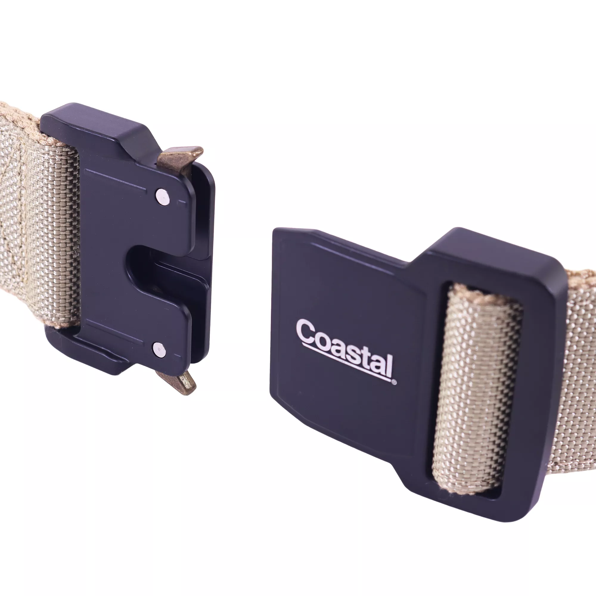 Close‑up of a beige dog collar buckle with two separate buckle pieces side by side.
