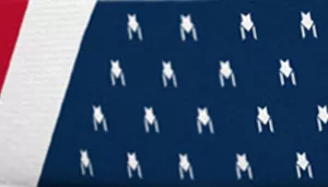 Wolfgang DigitalDog Dog Collar