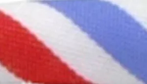 Safe Cat Round Fashion Collar