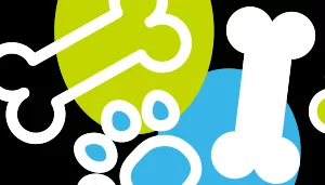 Morris Animal Foundation Styles Adjustable Dog Collar