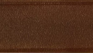 Circle T Latigo Leather Town Dog Collar