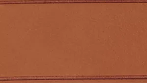 Circle T Oak Tanned Leather Dog Leash - Personalized