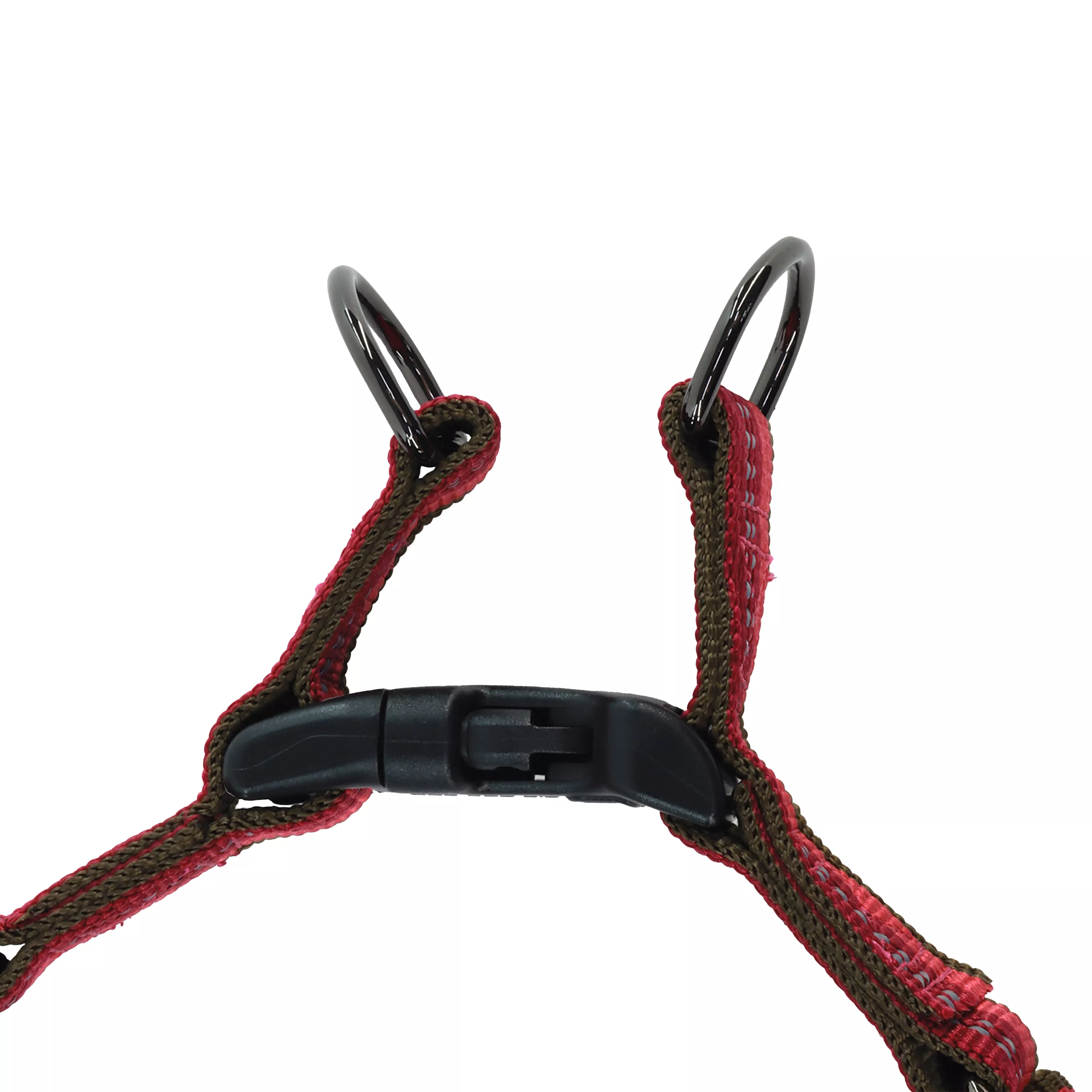 36946 BRY - Buckle Closed.jpg