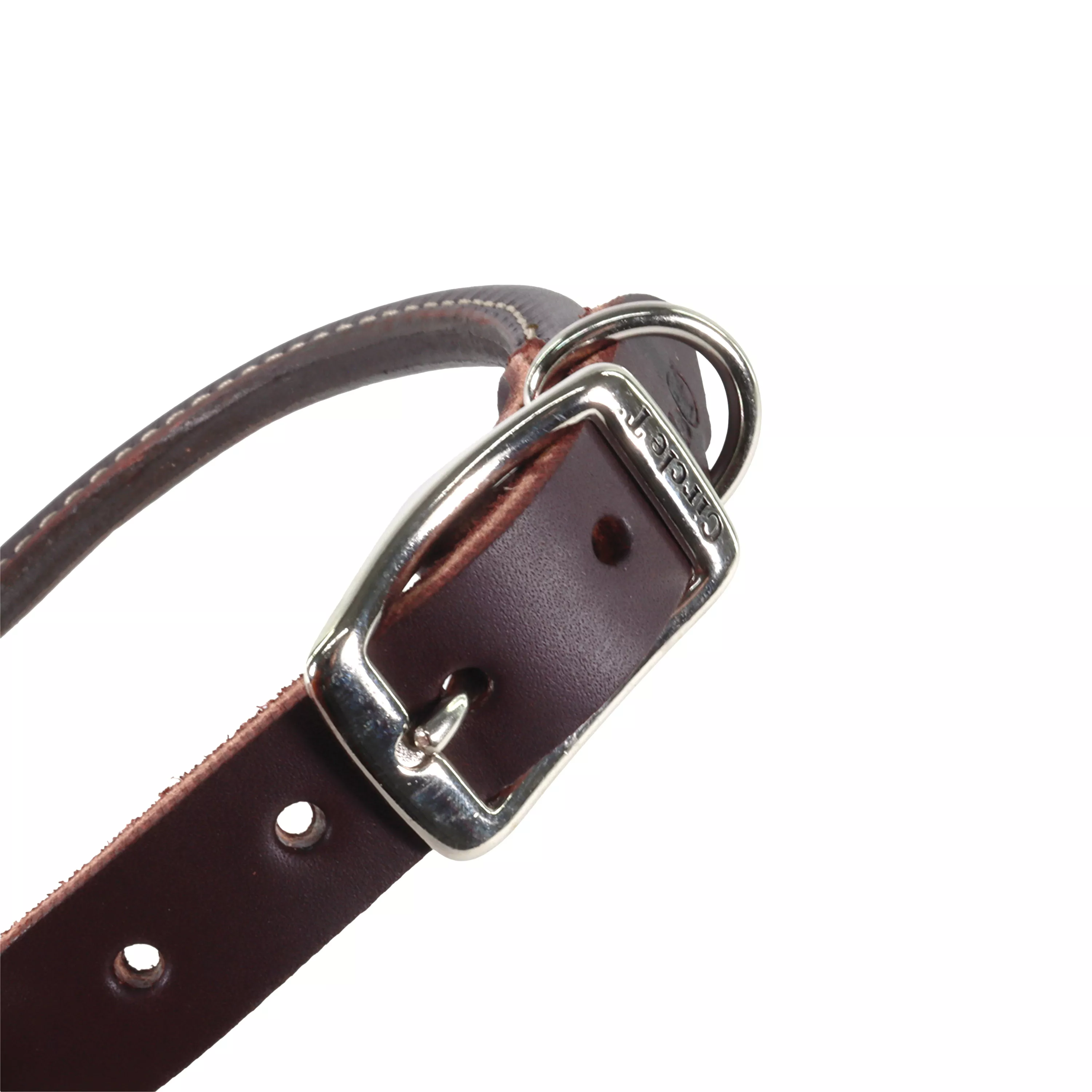 02208 LAT - Buckle.jpg