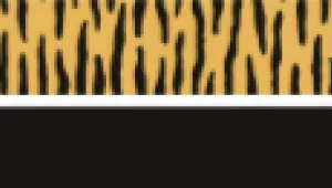 Coastal ElastaCat FlexFit Cat Collar