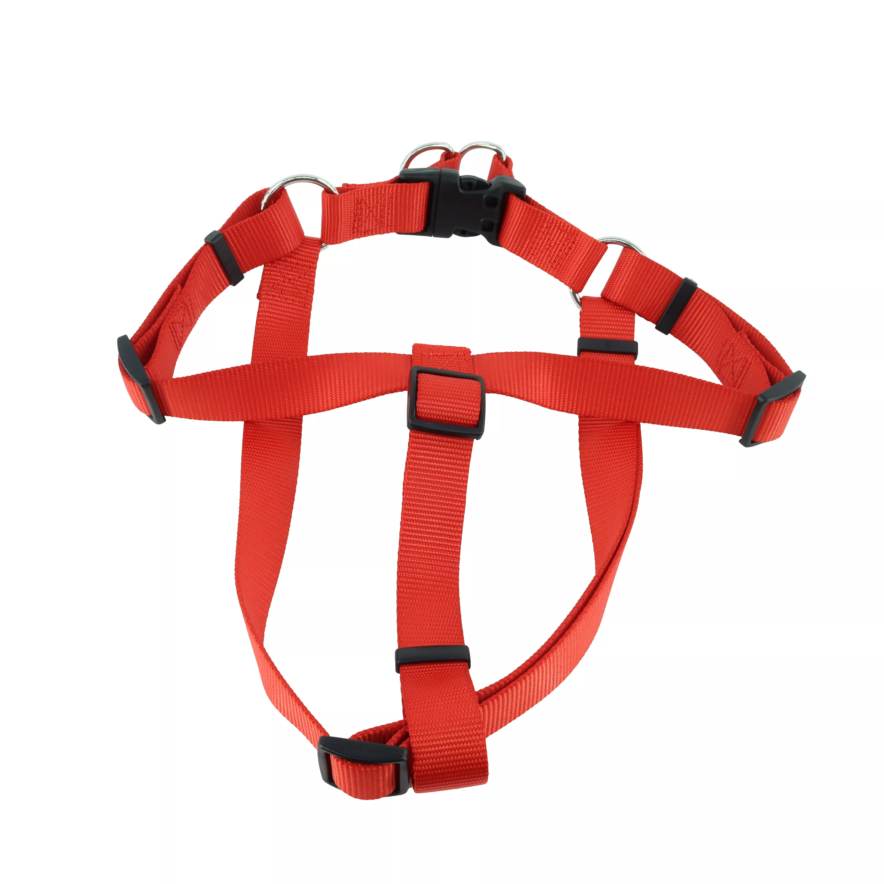 06945 RED40 Back copy.jpg