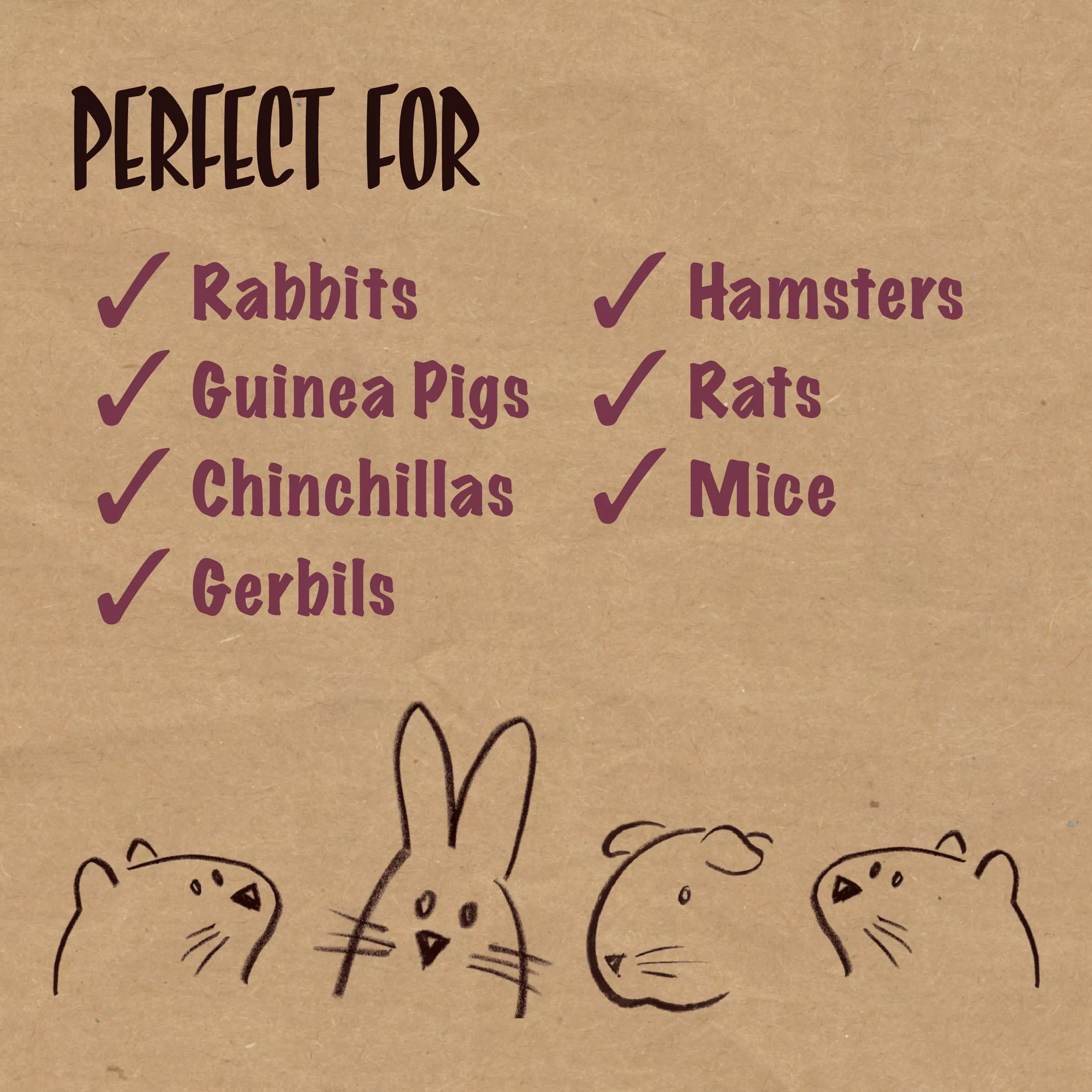 Graphic listing suitable small pets for the product. Text reads: “Perfect For” and includes rabbits, guinea pigs, chinchillas, gerbils, hamsters, rats, and mice. Simple line illustrations of a guinea pig, rabbit, mouse, and hamster appear along the bottom of the image.
