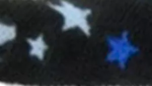 Safe Cat Round Fashion Collar