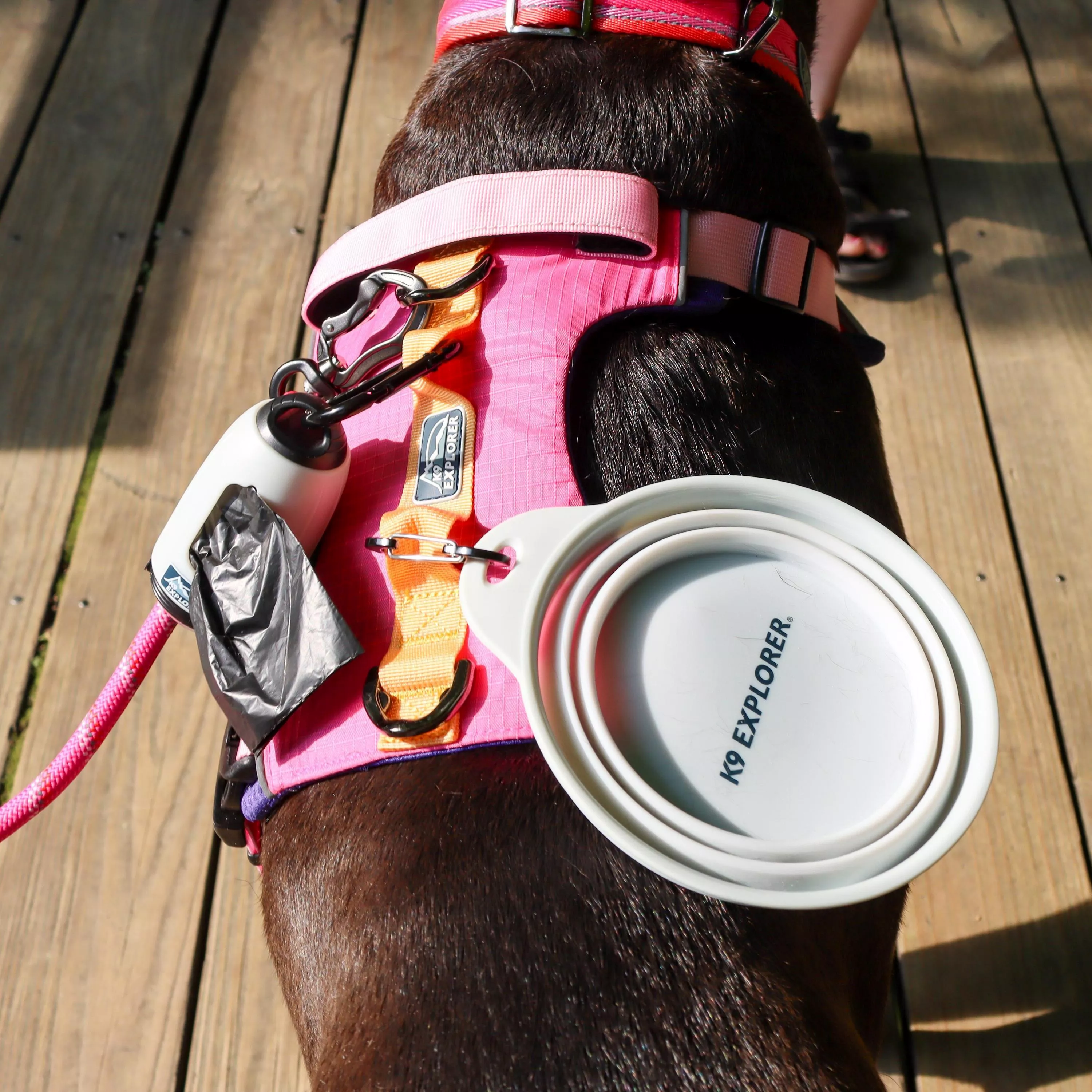 A dog with short dark fur is standing outdoors wearing a pink harness. A white cylindrical waste bag dispenser with a built‑in light is attached to the harness by a black plastic hook. A round foldable bowl in light gray hangs beside it. The pink rope leash extends from the harness toward the edge of the frame. The background includes wooden planks and natural outdoor scenery.