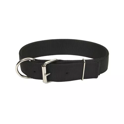 Macho Dog® Double-Ply Dog Collar with Roller Buckle Product image