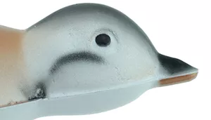 Gray quail head with lighter face markings and dark beak on white background.