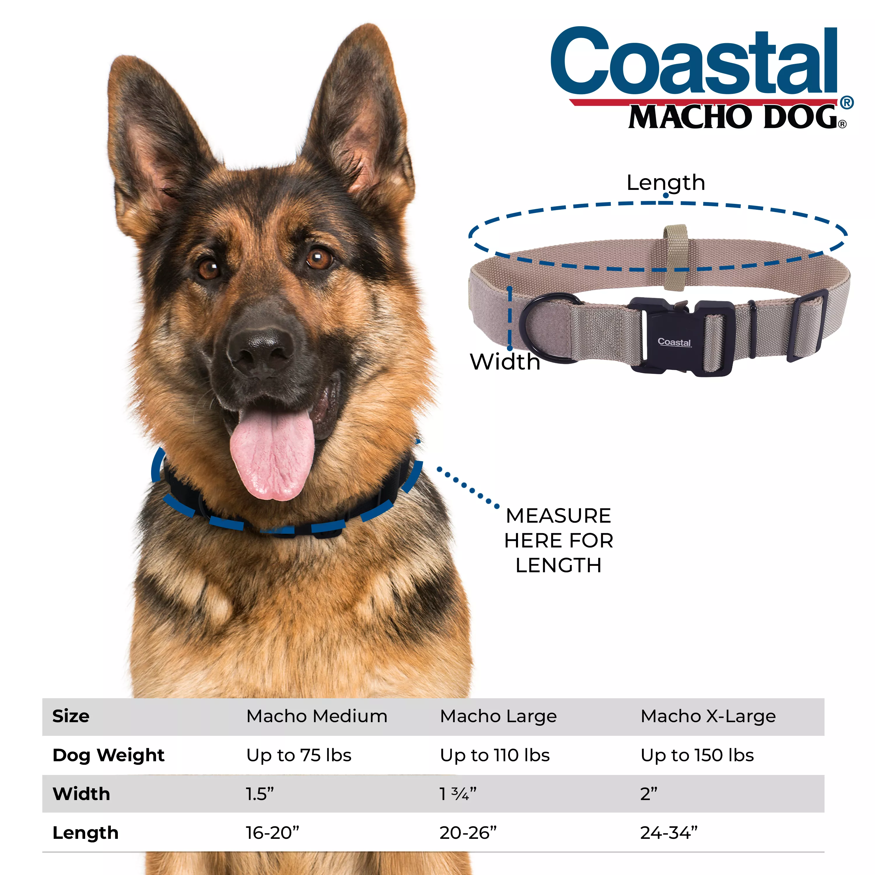 German Shepherd wearing a black Coastal Macho Dog collar beside a sizing guide showing collar length and width measurements. Chart lists Macho Medium, Large, and X‑Large sizes with corresponding dog weight ranges and collar lengths.