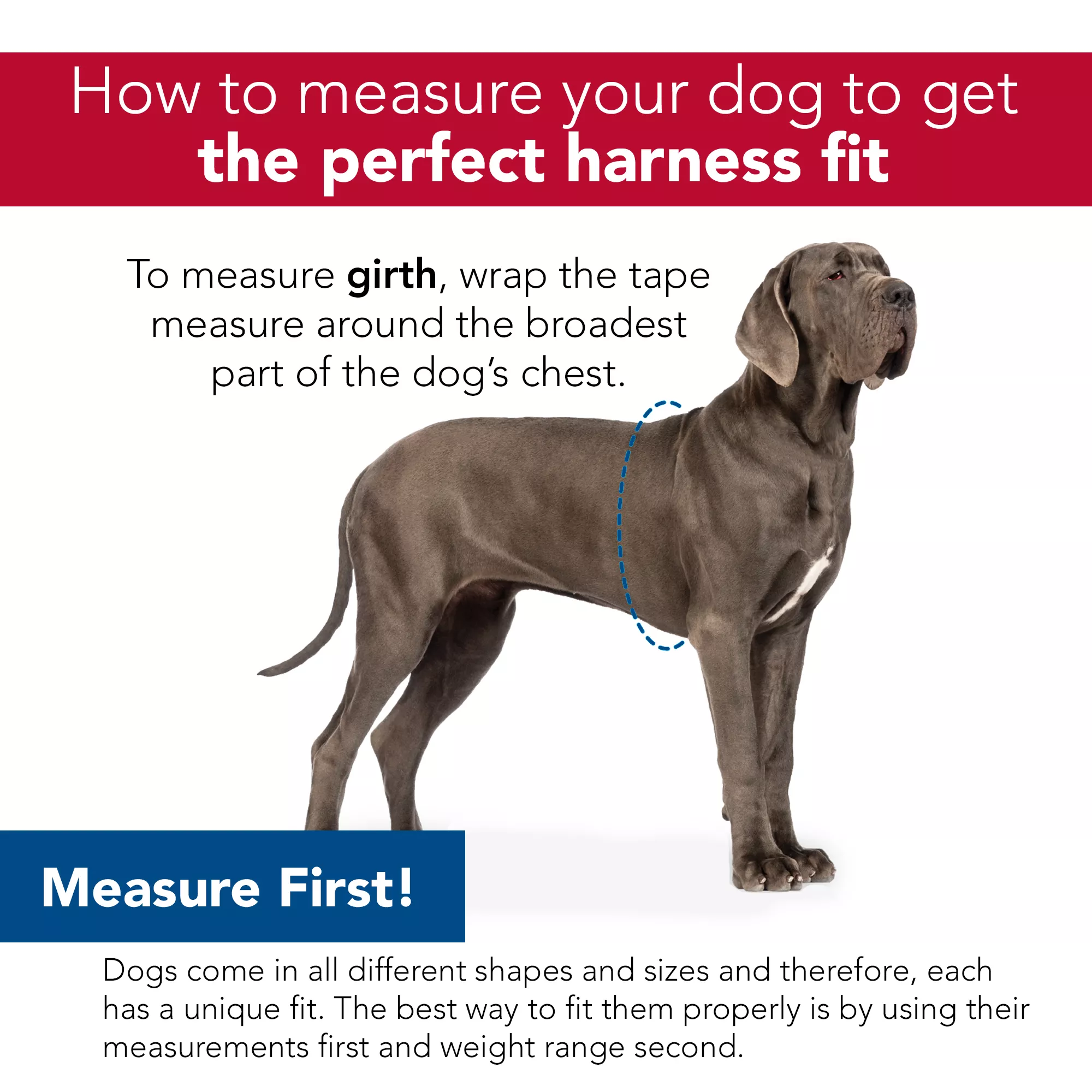 Size Right® Mesh Dog Harness
